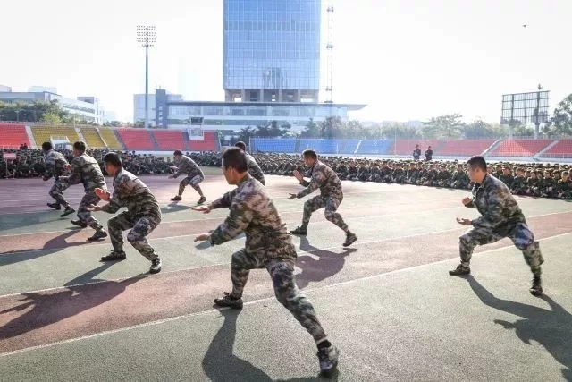 公共安全無人機